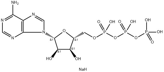 HPLC&gt;99% ไรโบนิวคลีโอไทด์ ATP 100 มม. สารละลาย CAS 987-65-5