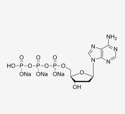เกลือโซเดียม DATP ใน PCR 100mM สารละลาย 2'-Deoxyadenosine-5'-Triphosphate CAS 1927-31-7