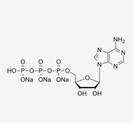 ATP MRNA วัคซีนวัตถุดิบ Adenosine-5'-Triphosphate CAS 987-65-5