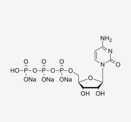 CAS 123334-07-6 Cytidine-5'-Triphosphate Mrna วัตถุดิบ CTP 100mM Solution