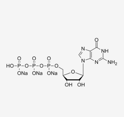 GTP 100mM สารละลาย Guanosine-5'-Triphosphate Trisodium Salt CAS 36051-31-7