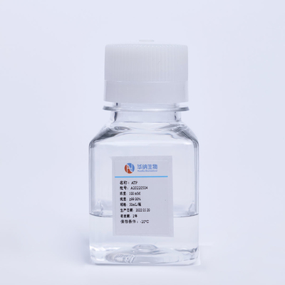 ล้างวัตถุดิบวัคซีน ATP MRNA Adenosine-5'-Triphosphate Liquid CAS 987-65-5