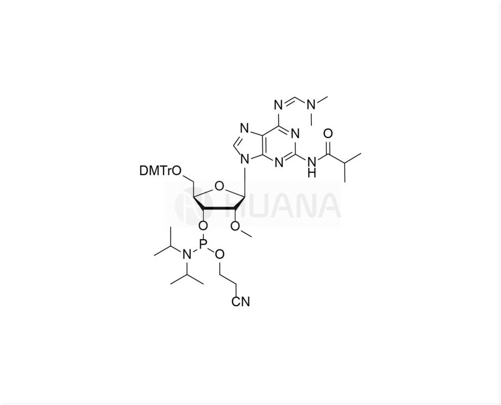 DMTr-2'-O-Me-N2-iBu-N6-dmf- 2-อะมิโด-rA-3'-CE-ฟอสโฟรามิไดต์